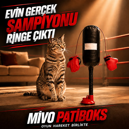 Mivo PatiBoks