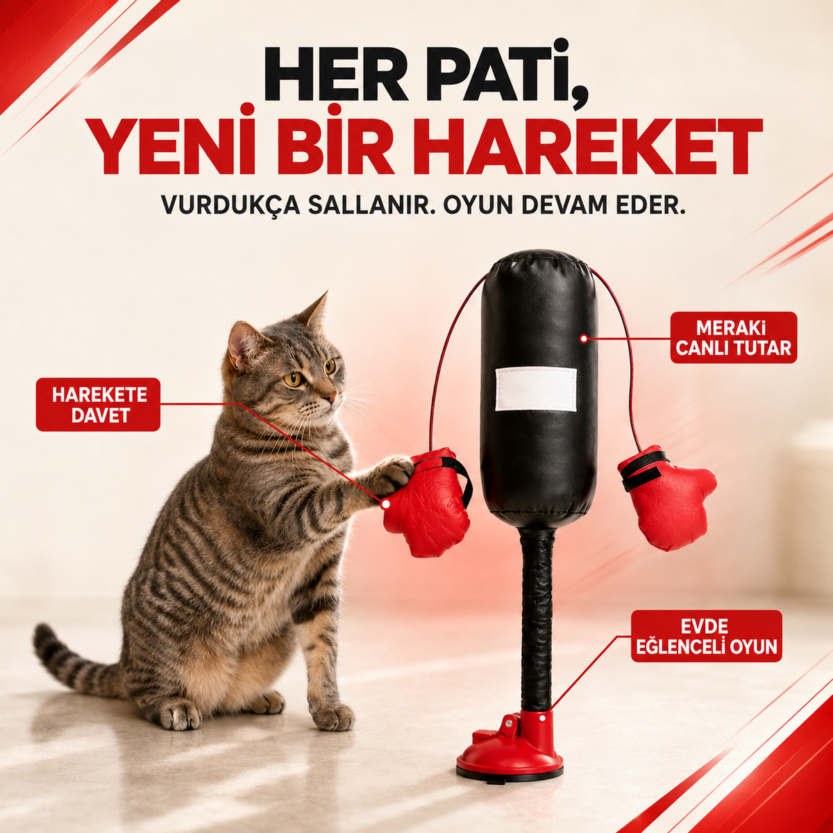 Mivo PatiBoks