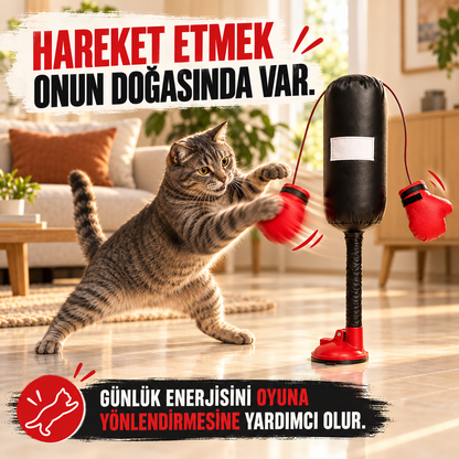 Mivo PatiBoks
