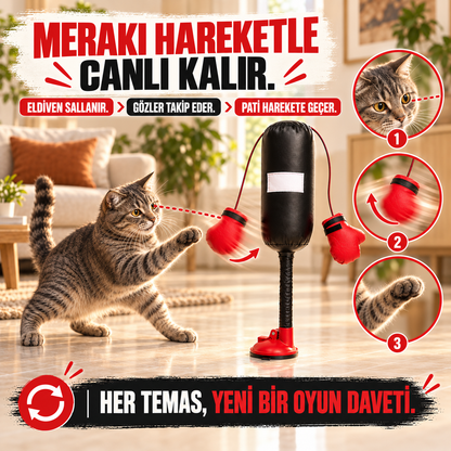 Mivo PatiBoks
