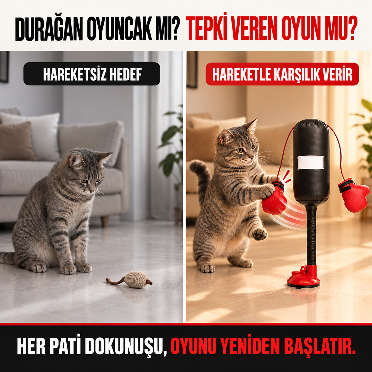 Mivo PatiBoks