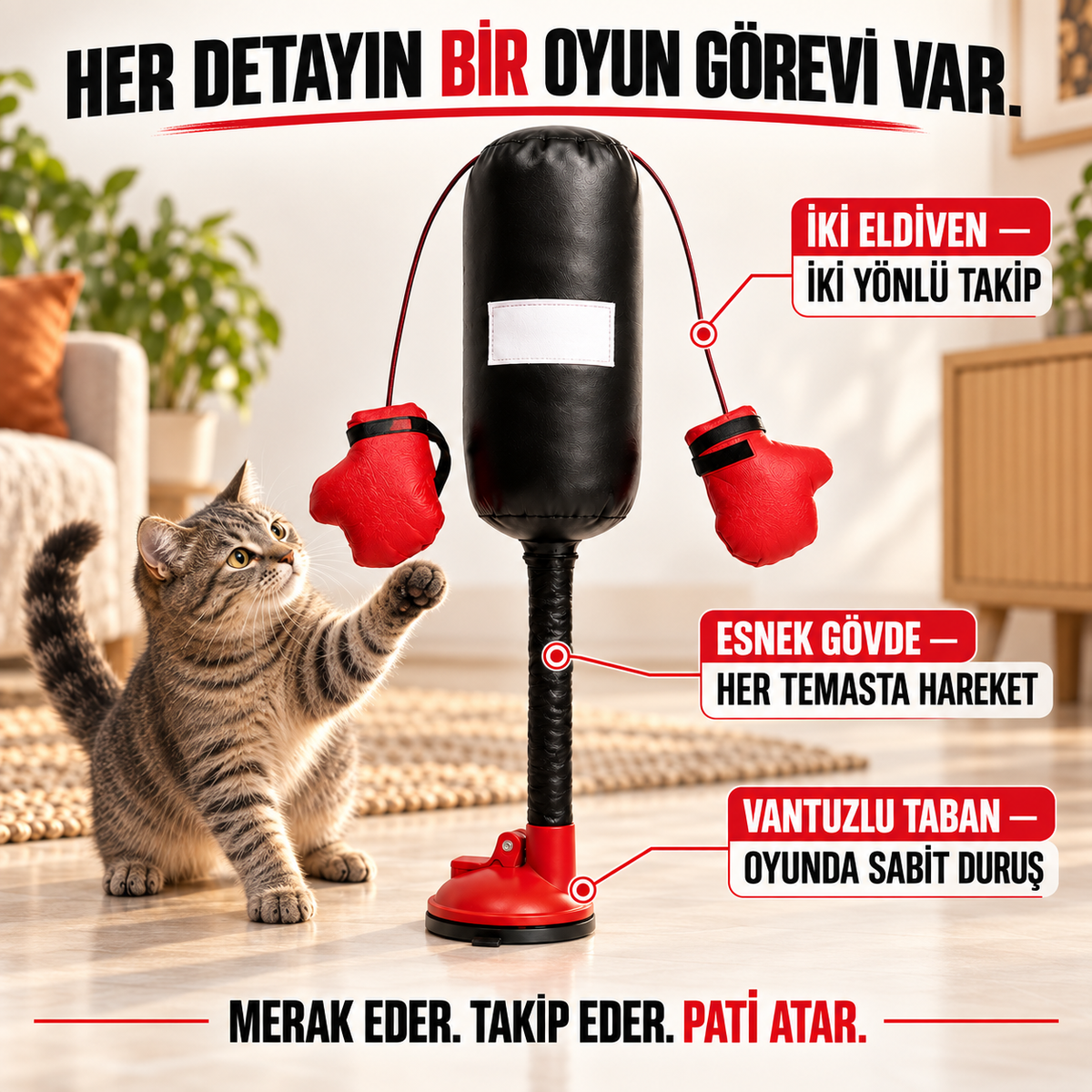 Mivo PatiBoks
