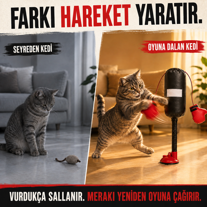 Mivo PatiBoks